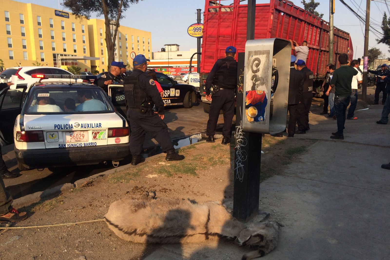 Detienen a camión repleto de caballos; los llevaban al mercado de abastos