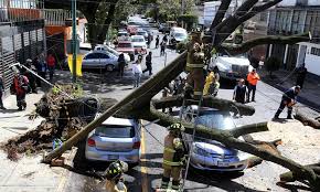 Fuertes vientos Afectan serivcio <br> eléctrico en 25 estados: CFE