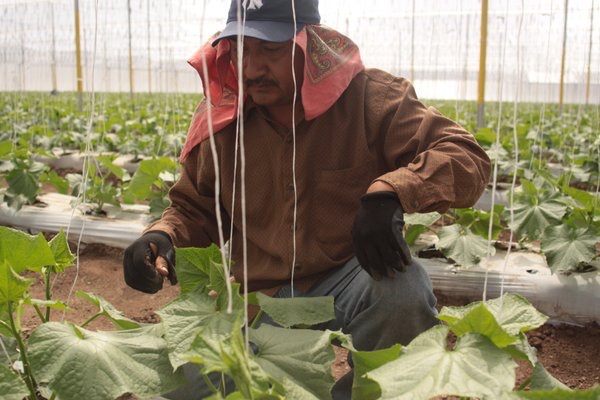 Realizan Encuentro Estatal de Economía Social