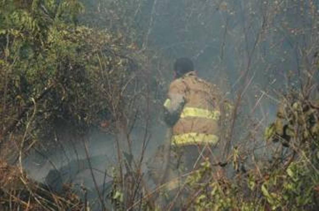 Incendio consume 90 hectáreas de pastizales en Yucatán