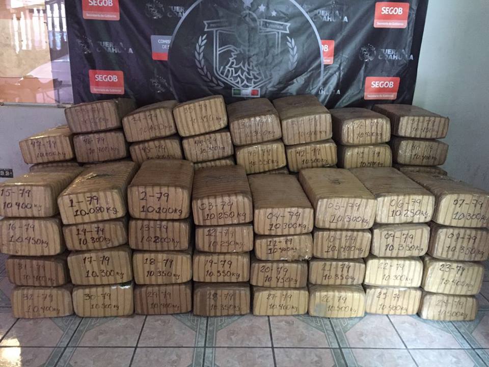 Incauta Fuerza Coahuila 800 kilos <br> de marihuana en sierra acuñense 