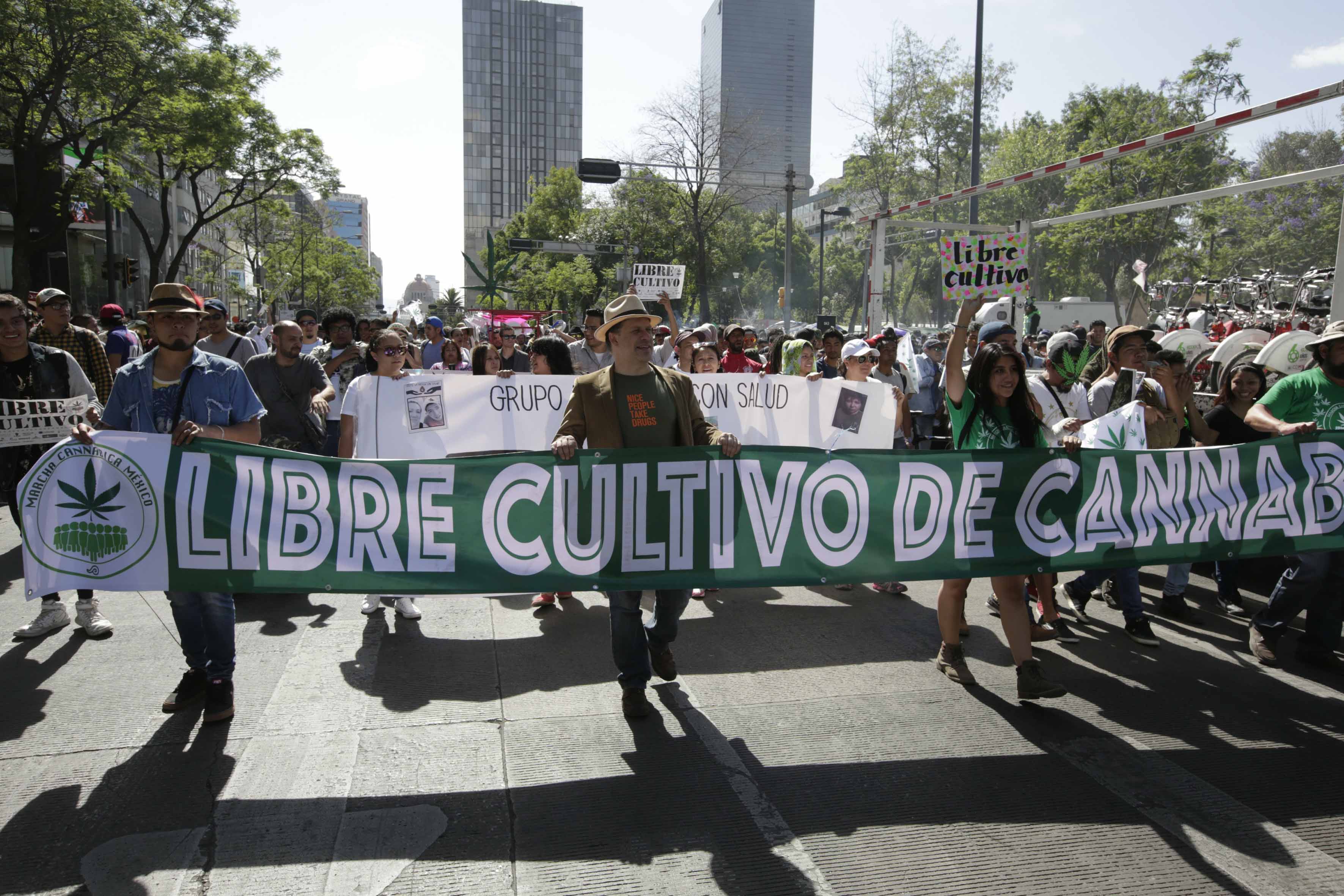 Marchan por legalización de la marihuana