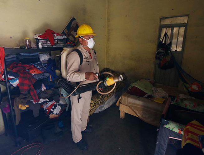 Reportan 357 casos de Zika; 113 son de embarazadas