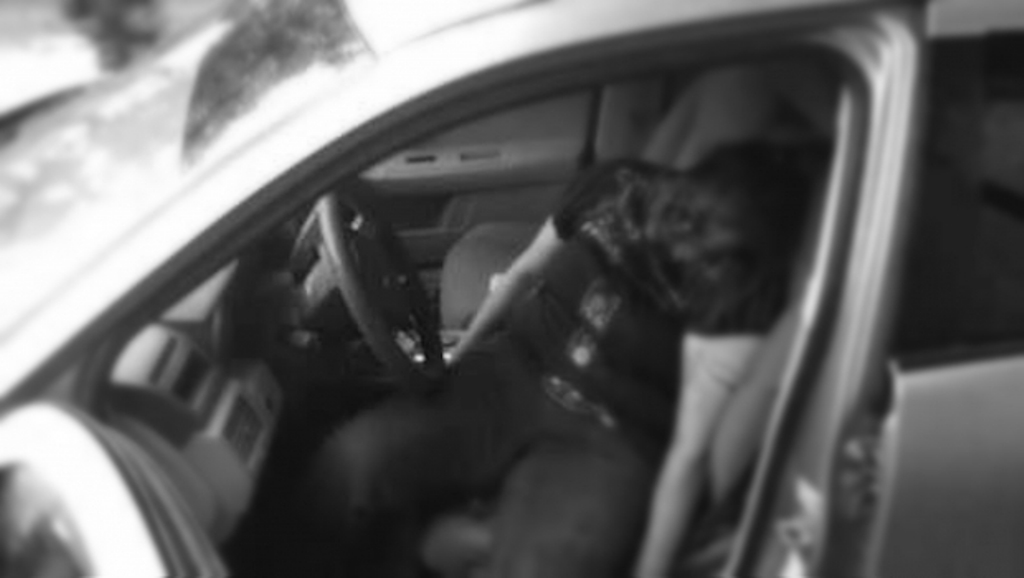 Ejecutan a reportera en Tamaulipas