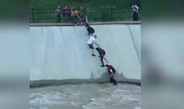 Rescatan a perro haciendo “mano cadena”