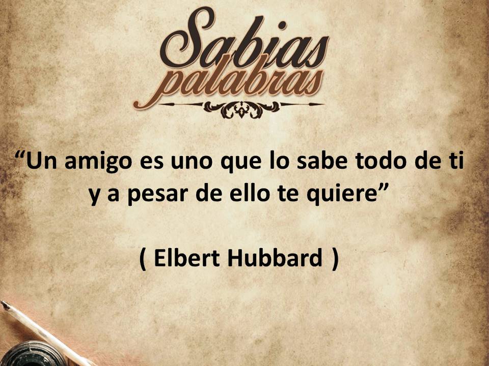 Frase del día