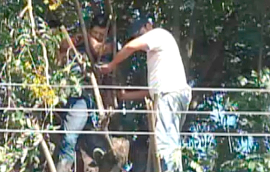 Muere electrocutado al intentar ingresar a escuela