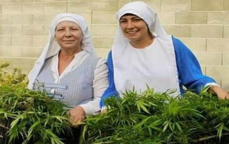 Monjas cambian el rompope por la mariguana