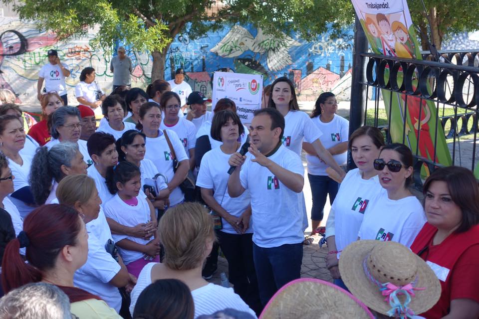 Realiza PRI brigadas de limpieza