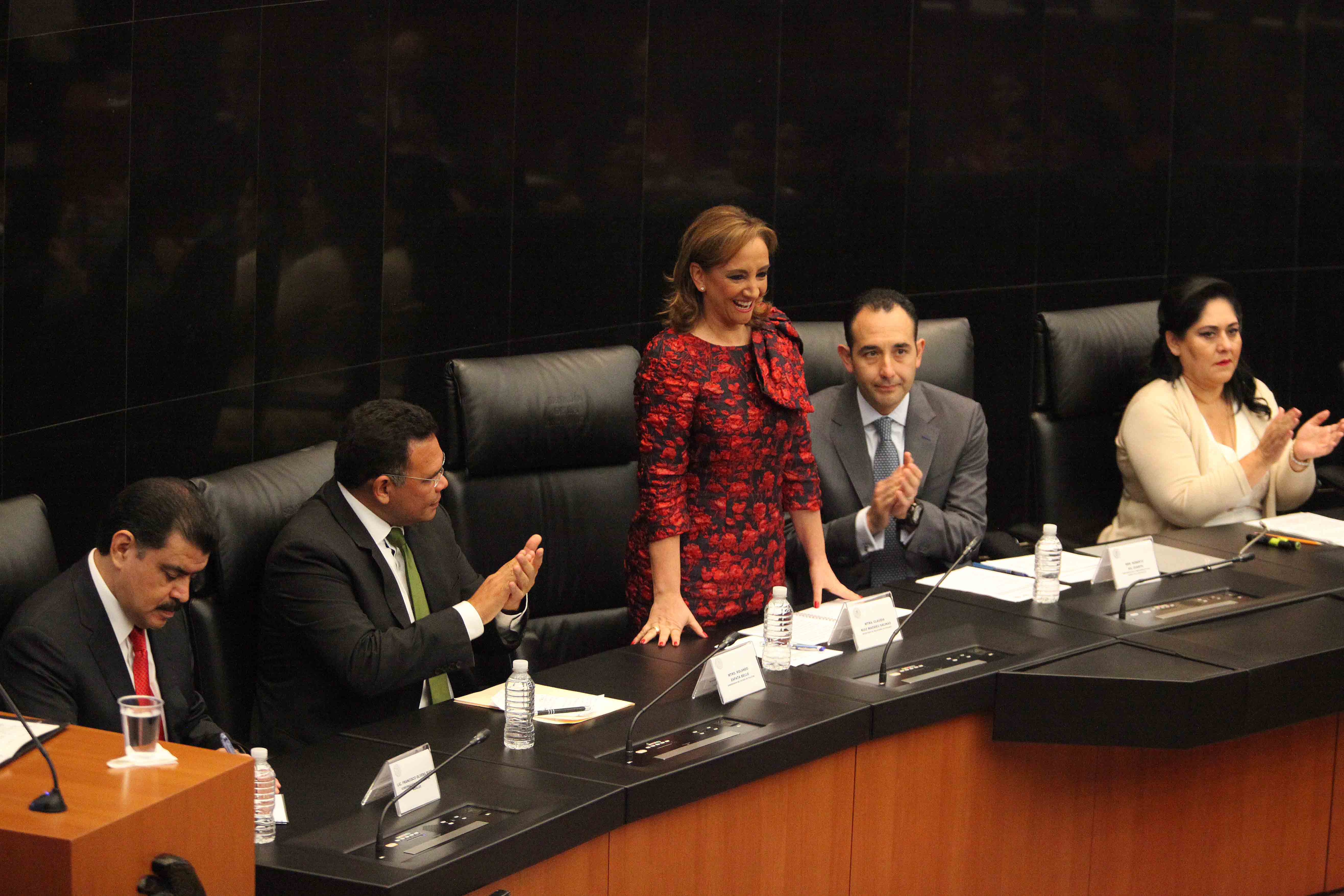 Idea absurda, construir un muro: SRE