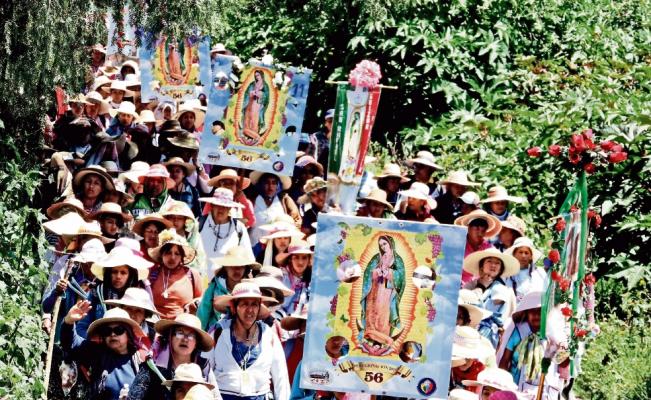 Más de 36 mil peregrinos se dirigen a la Basílica