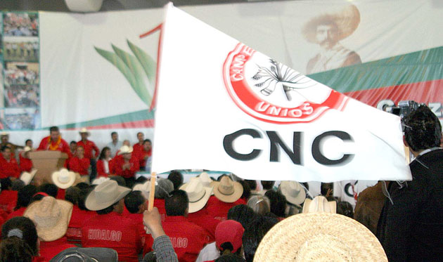 Sector agrario respalda a Ochoa Reza para dirigir al PRI