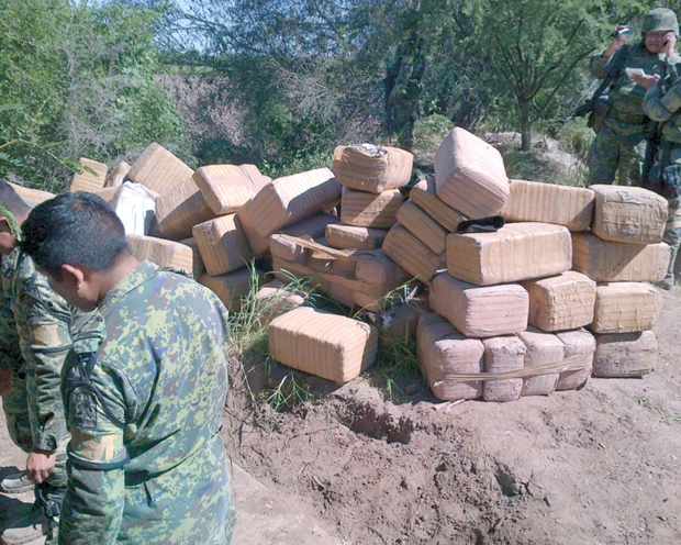 Decomisan más de una tonelada de marihuana en Reynosa