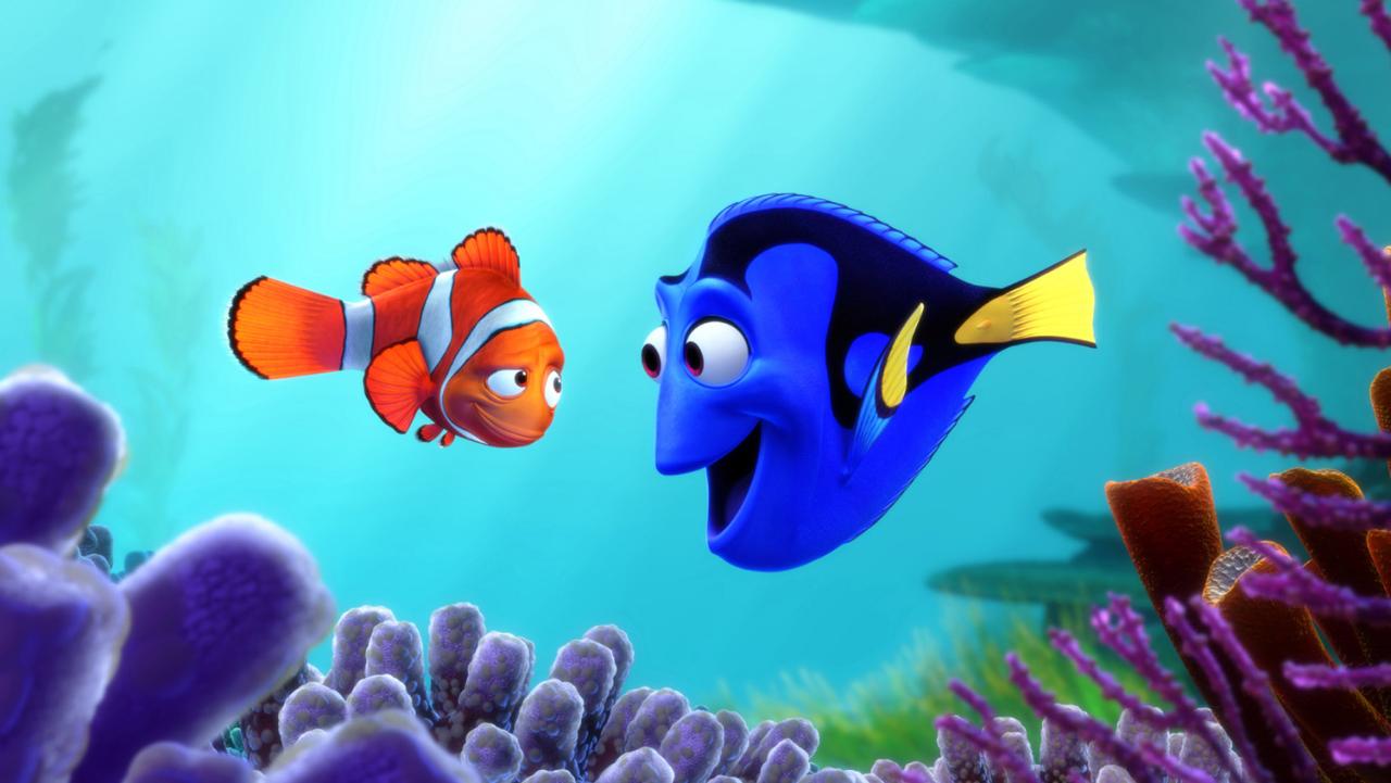 ¿Qué tipo de pez es “Dory”?