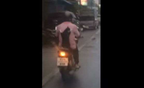 Graban a gato en motocicleta