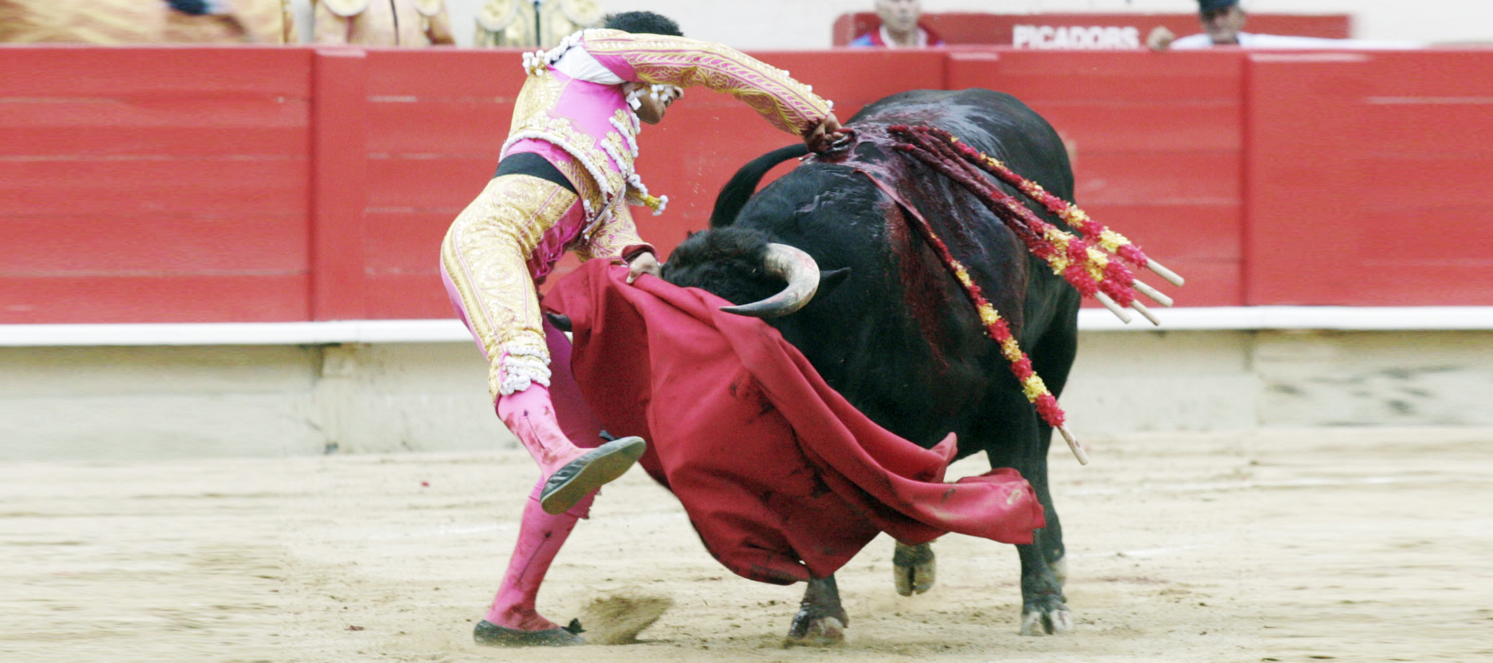 Concede juez amparo para <br>seguir ejecutando toros