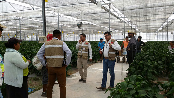 Inspectores de Setra retiran a tres menores de un centro de trabajo