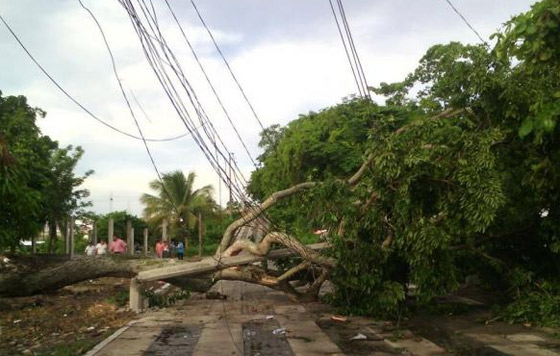 Lluvias dejan sin electricidad a 39 mil usuarios en Chiapas