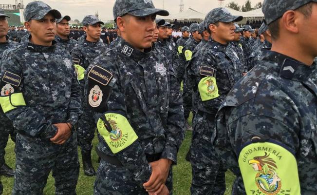 Policía Federal presentará División de Gendarmería ambiental