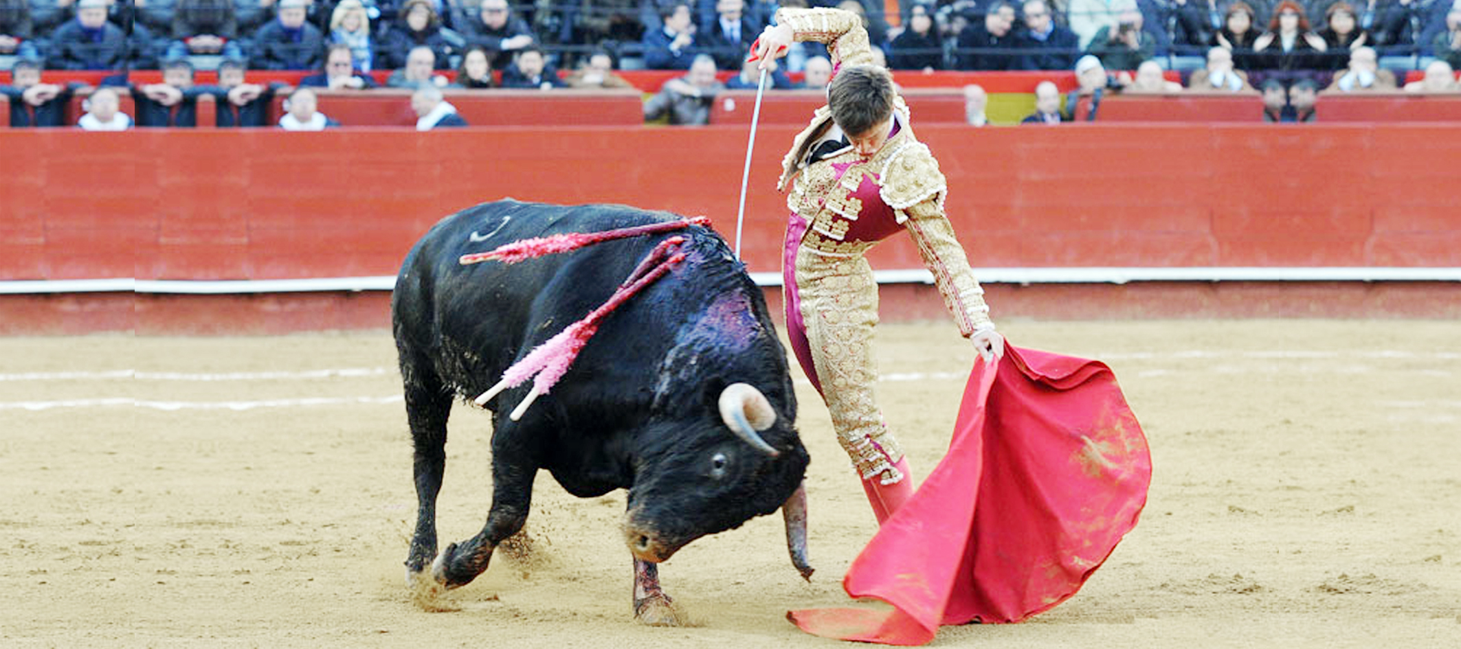 Buscarán llevar a la SCJN iniciativa para <br>prohibir en definitiva las corridas de toros