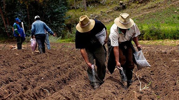 Buscan acuerdos para desarrollo del campo