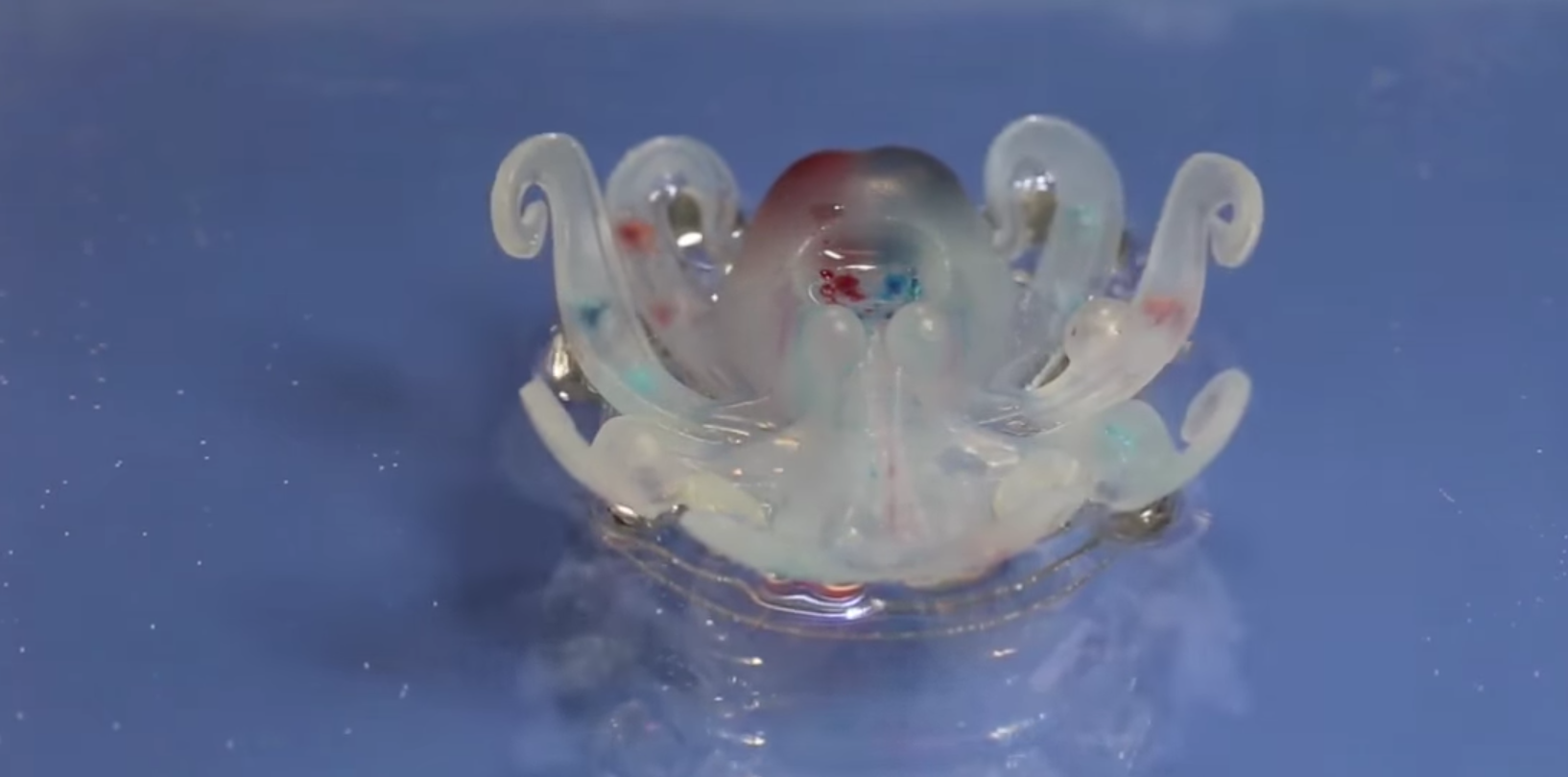 Desarrollan en Harvard robot con materiales blandos