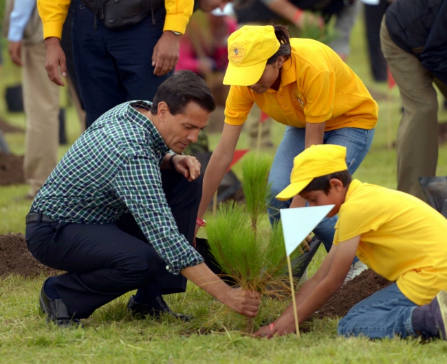 Gobierno cumplirá meta de reforestar un millón de hectáreas en sexenio