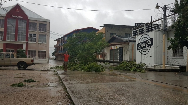 Reportan daños en 15 municipios de Veracruz por “Earl”