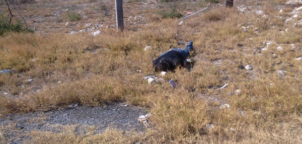 Localizan cuerpo en vía a Saltillo