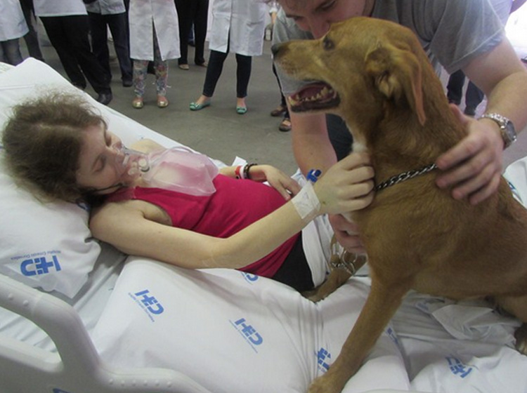 Mujer con cáncer terminal se despide de su perro