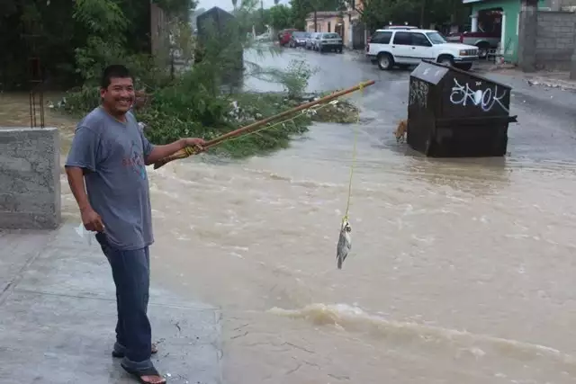 Pesca una mojarra durante inundación en Monclova