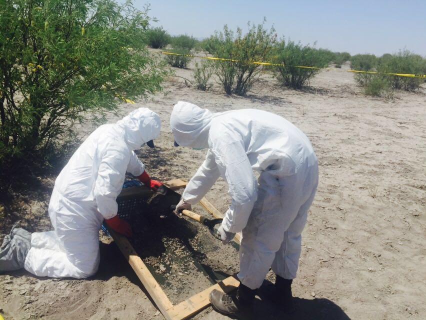Encuentran restos óseos en Coahuila