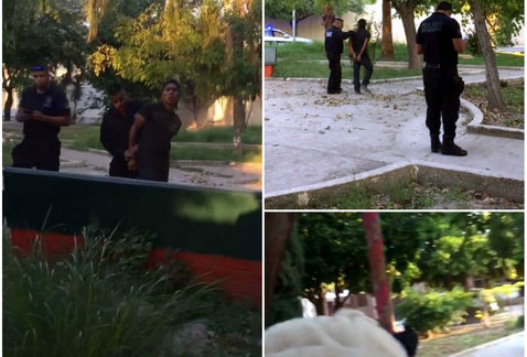 Argumentando que es un perro satánico joven mata a pitbull en Torreón