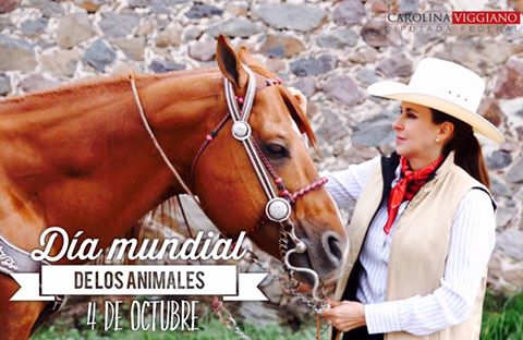 Día Mundial de los Animales
