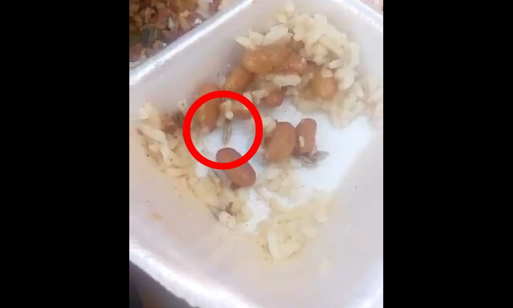 Mandos dan a policías comida con gusanos en Monterrey