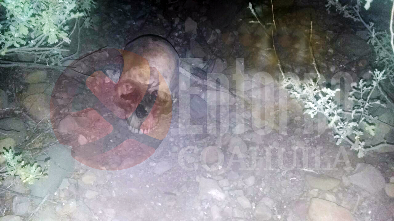 Encuentran osamenta en Saltillo