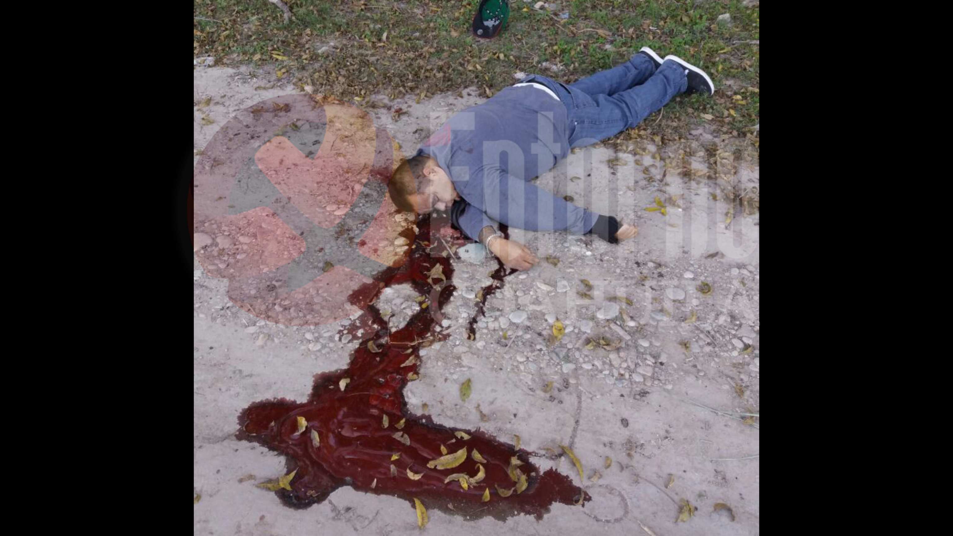 Localizan persona sin vida en PN; <br>habría muerto violentamente