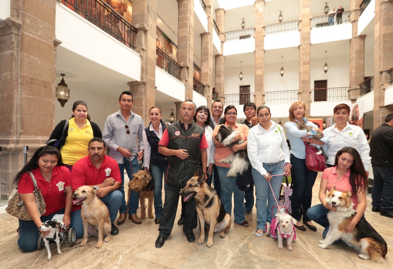 EL Gobierno de Coahuila mantiene acuerdos con Asociaciones protectoras de animales