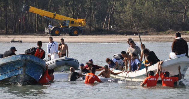 Liberan ballena en Veracruz