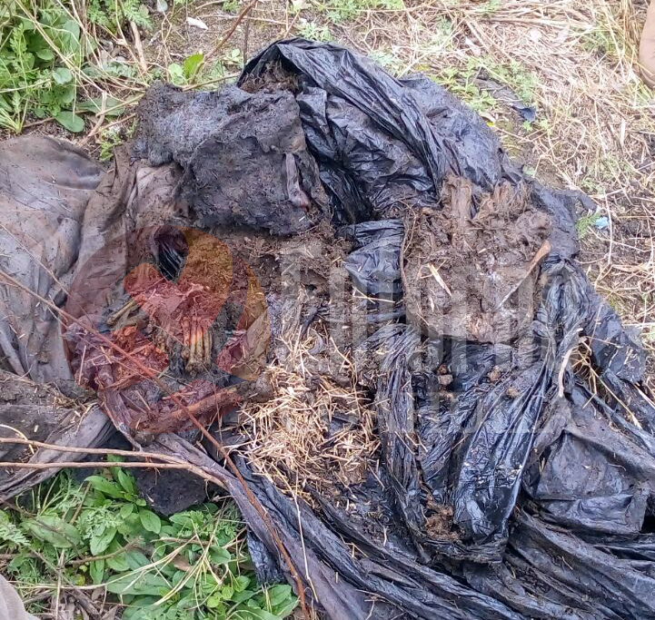 Encuentran restos humanos en Múzquiz