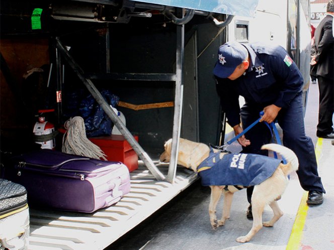 Hallan heroína oculta en libros a bordo de un autobús