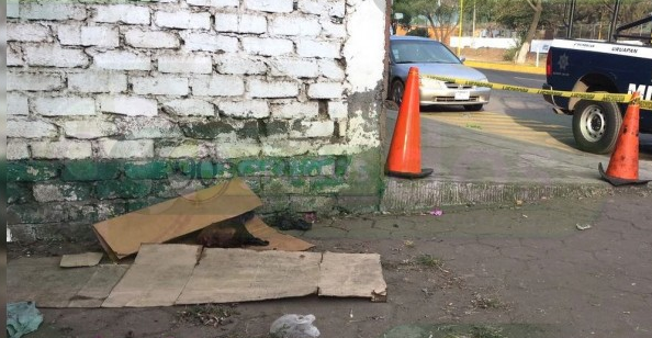 Localizan cabeza humana