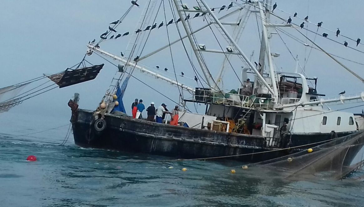 Aseguran embarcación por pesca ilegal en área protegida de BC