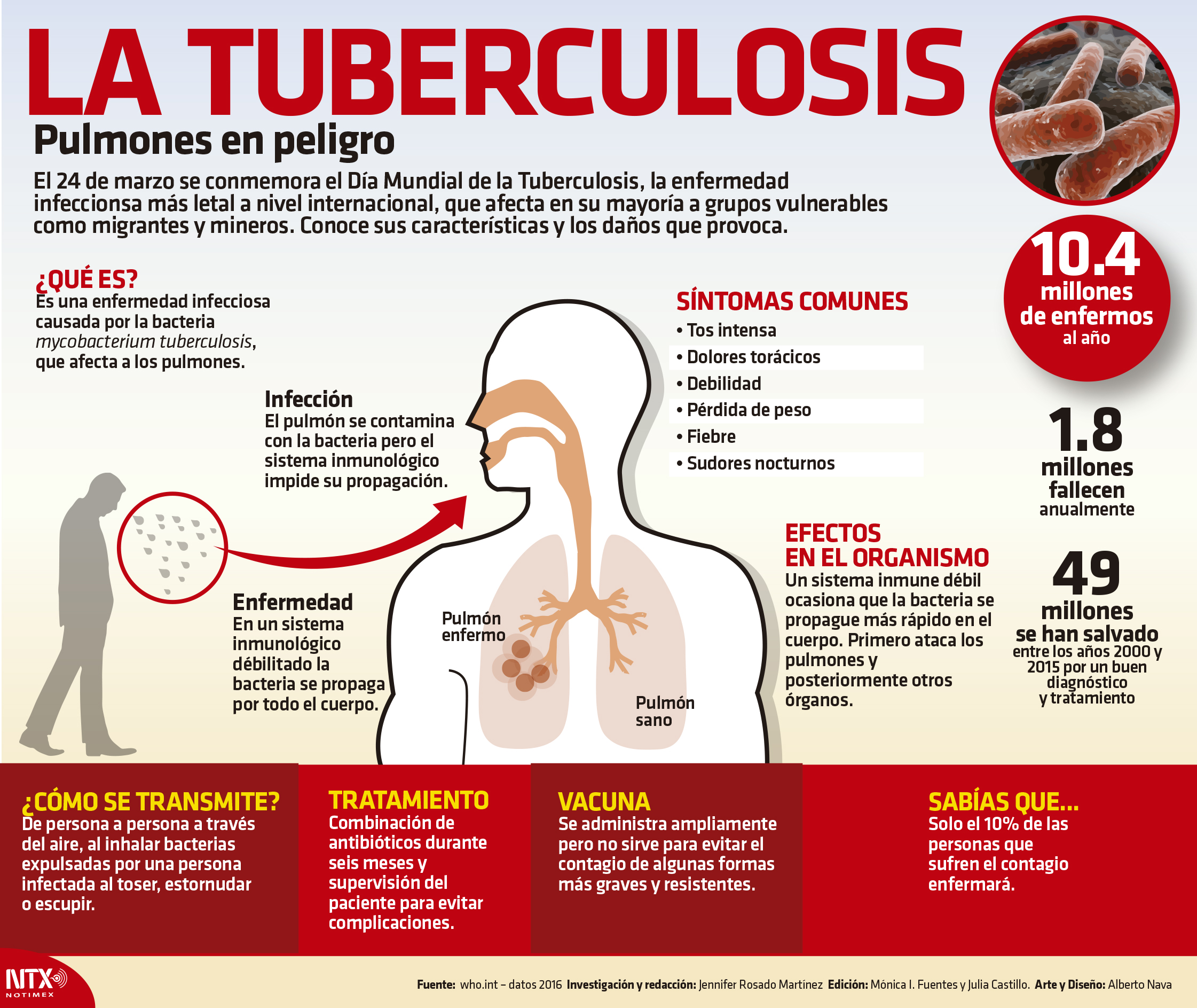 #Infografía Tuberculosis: pulmones en peligro