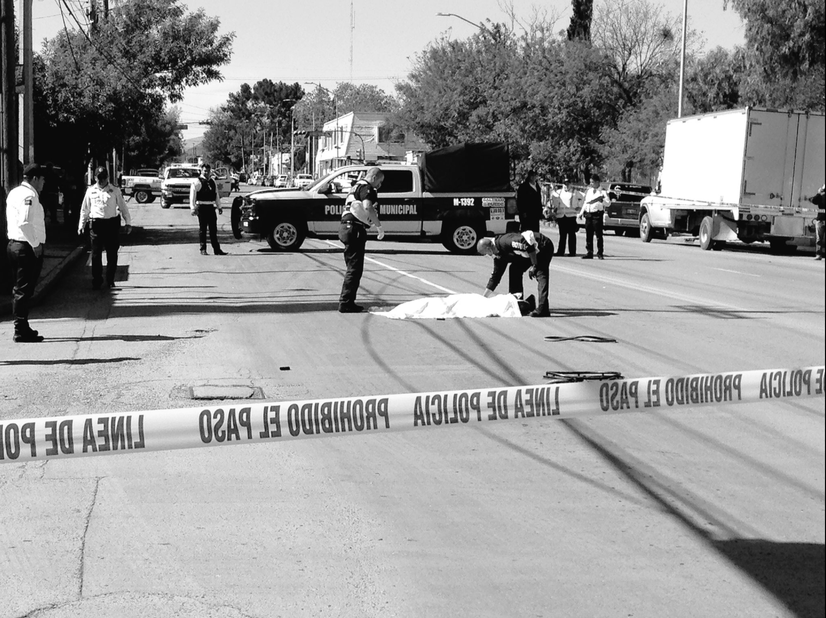 Mata “cumbiero” de Saltillo <br>a persona en silla de ruedas