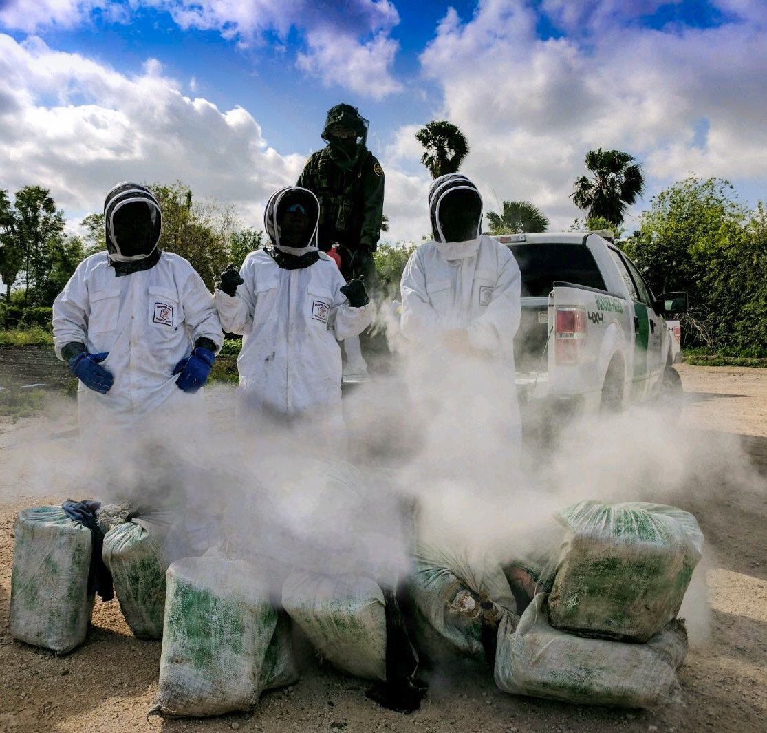 Dejan cargamento de droga en panal de abejas