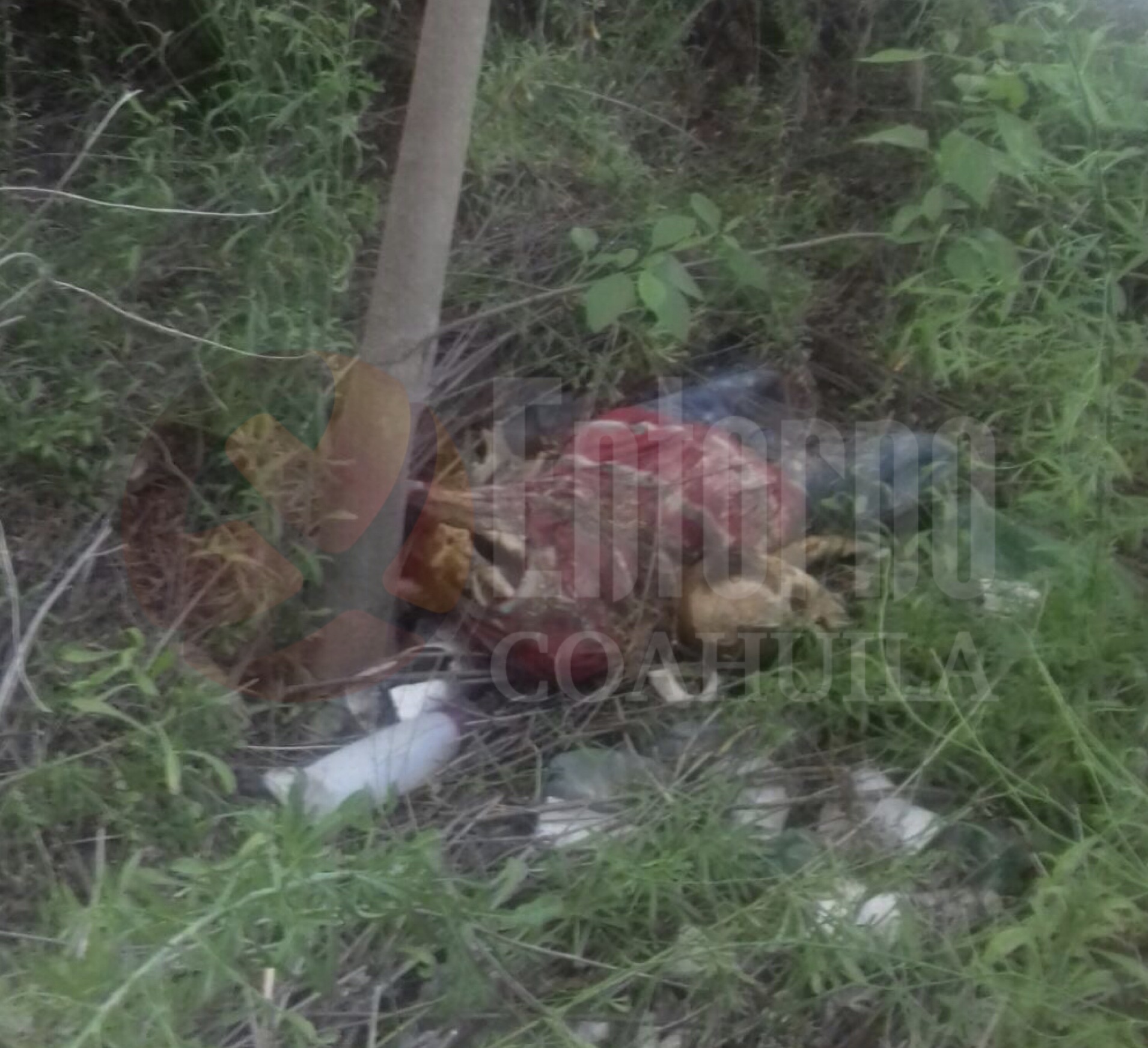 Identifican cadáver hallando en río Sabinas; fue suicidio