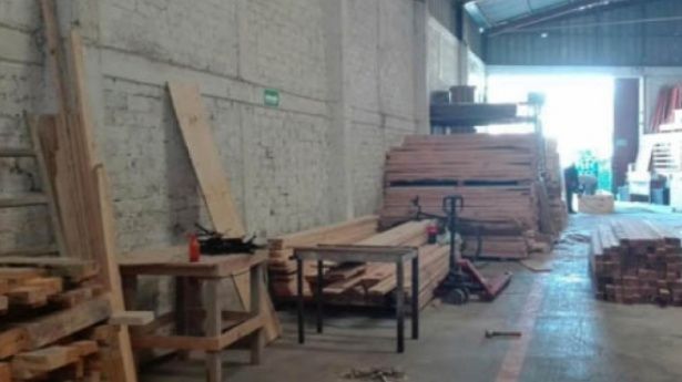 Profepa asegura 699 metros cúbicos de madera en Chihuahua