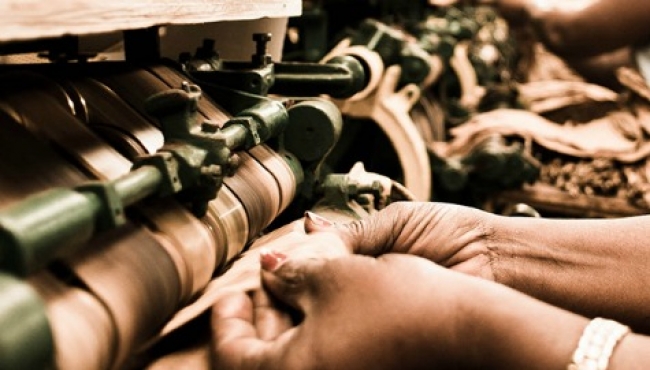 Reconocen mano de obra mexicana en EUA base económica de ambos países