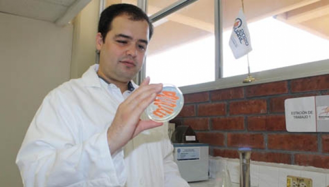 Descubren en México nuevos antibióticos a partir de metales